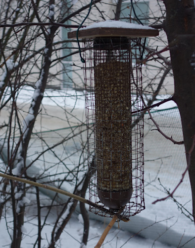 Oravasuojattu ruokintalaite pienemmille linnuille.